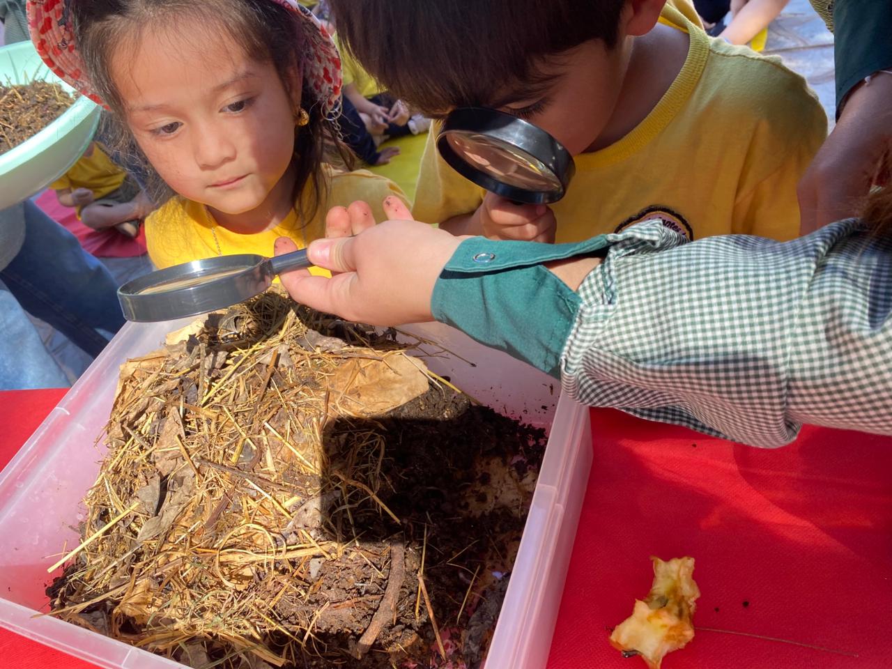 Vista previa de Nivel Inicial 1