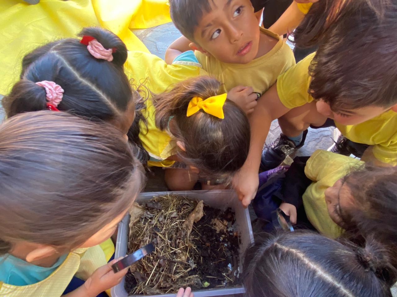 Vista previa de Nivel Inicial 3