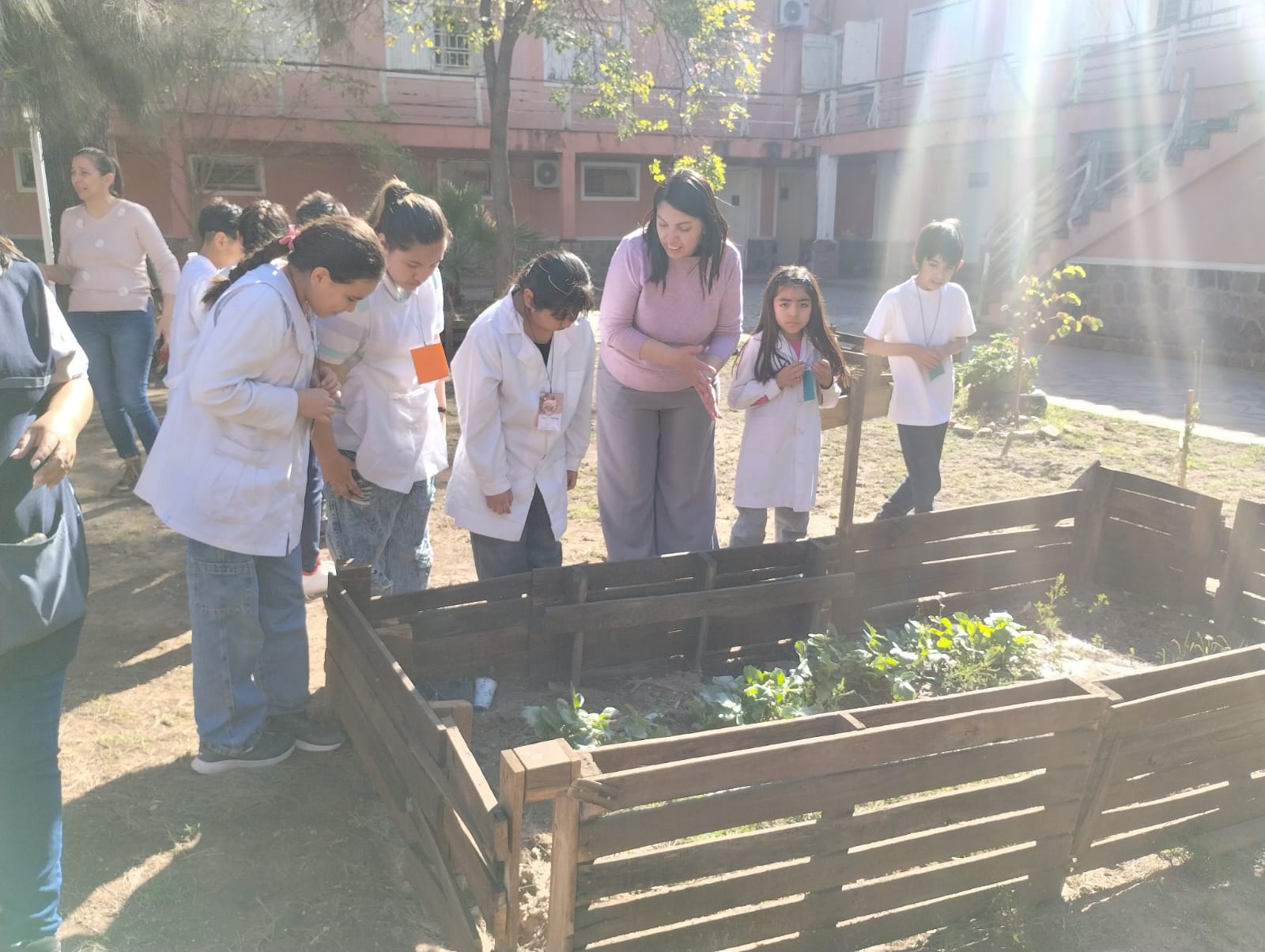 Vista previa de Nivel Primario 1