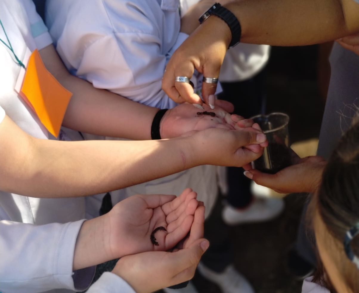 Vista previa de Nivel Primario 2