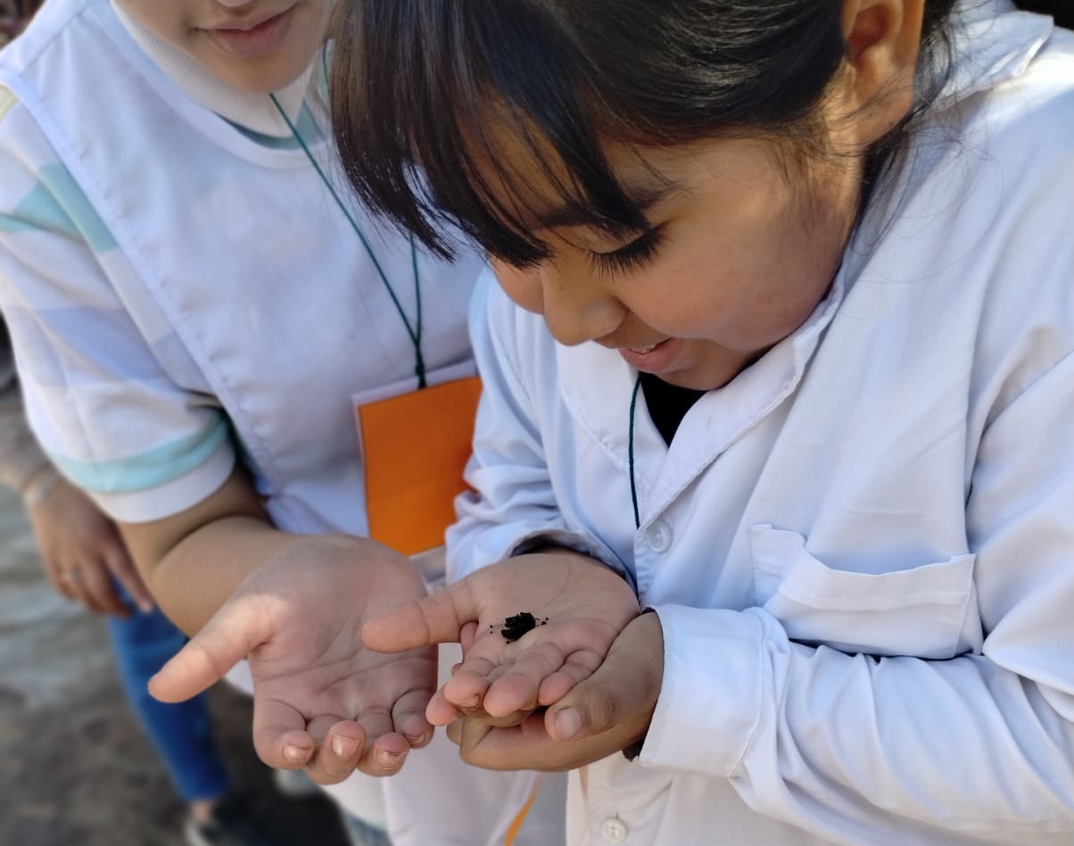 Vista previa de Nivel Primario 3